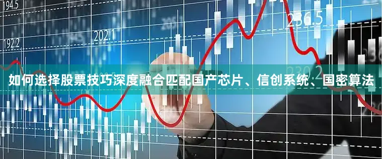 如何选择股票技巧深度融合匹配国产芯片、信创系统、国密算法