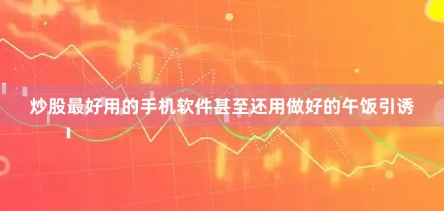 炒股最好用的手机软件甚至还用做好的午饭引诱