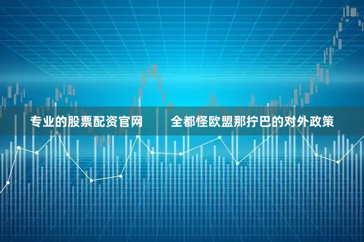 专业的股票配资官网        全都怪欧盟那拧巴的对外政策