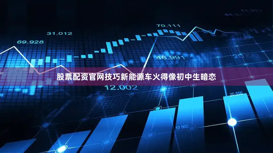 股票配资官网技巧新能源车火得像初中生暗恋